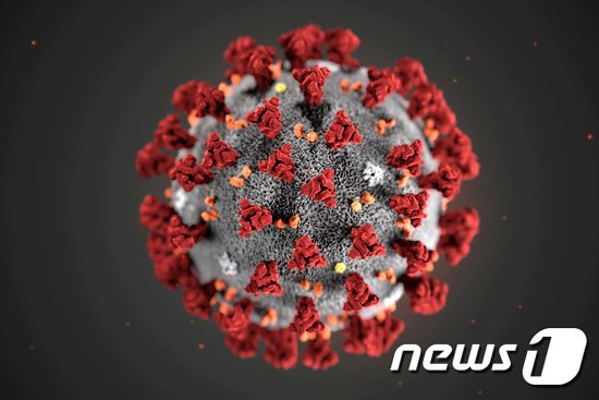 미국 질병통제예방센터(CDC)가 제작한 2019 신종 코로나바이러스 모형도